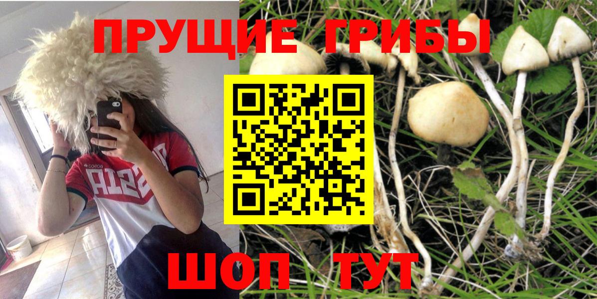 Псилоцибиновые грибы ЛСД  где продают наркотики  Галлюциногенные грибы мухоморы  Заволжье  Вход с VPN 