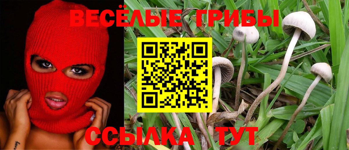 Галлюциногенные грибы ЛСД Заволжье